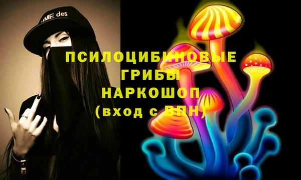 apvp Алзамай