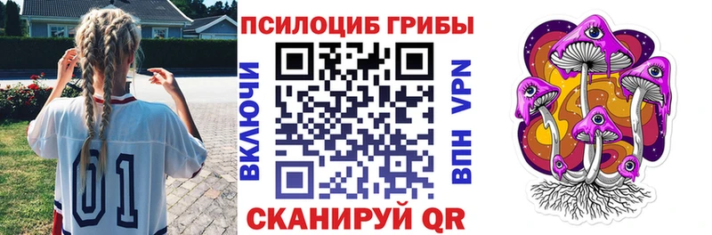 Галлюциногенные грибы Psilocybe  Покров 